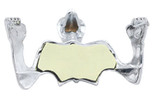 4-1/2" Chrome Skull Headlamp Visor Ornament