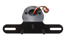 Black Drilled Bezel Tail Light