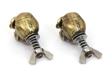 Gold Skull License Plate Bolt Set
